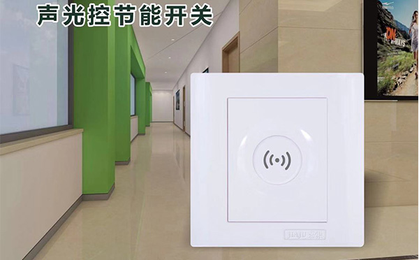 綠鑫系列聲光控節(jié)能開關